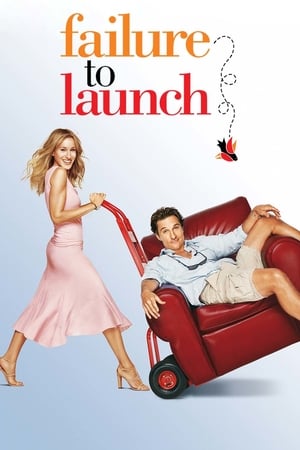 Failure to Launch 2006 Hindi Dual Audio 480p BluRay 300MB