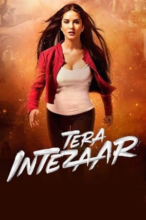 Tera Intezaar 2017 Movie 480p HDRip - [300MB]