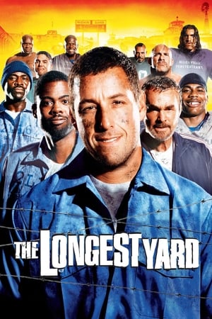 The Longest Yard (2005) Hindi Dual Audio 480p Web-DL 350MB