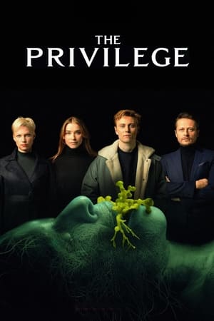 The Privilege (2022) Hindi Dual Audio HDRip 720p – 480p